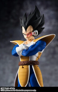 Tamashii Nations S.H.FIGUARTS Dragon Ball Super Vegeta -ANGELGROVE COLLECTABLES Sales item 0000011747 tAAPaBKD 06