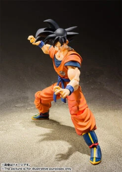 Tamashii Nations S.H.FIGUARTS Dragon Ball Z Son Goku -A Saiyan Raised On Earth- -ANGELGROVE COLLECTABLES Sales item 0000012445 aihueMIF 06